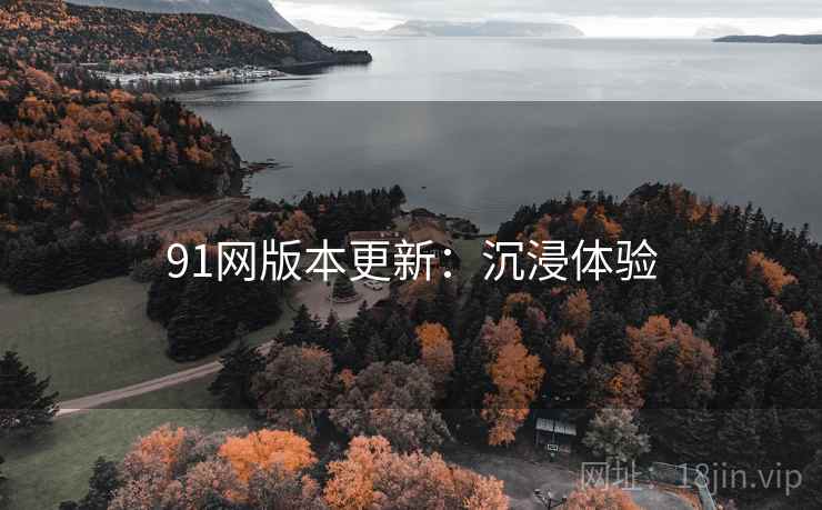 91网版本更新：沉浸体验