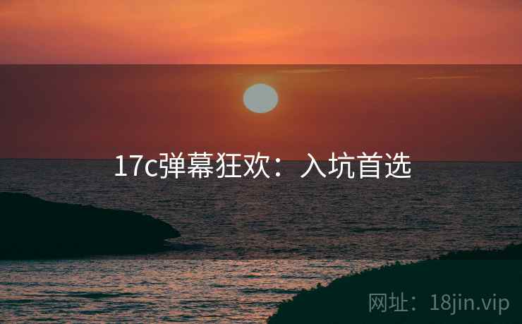 17c弹幕狂欢：入坑首选