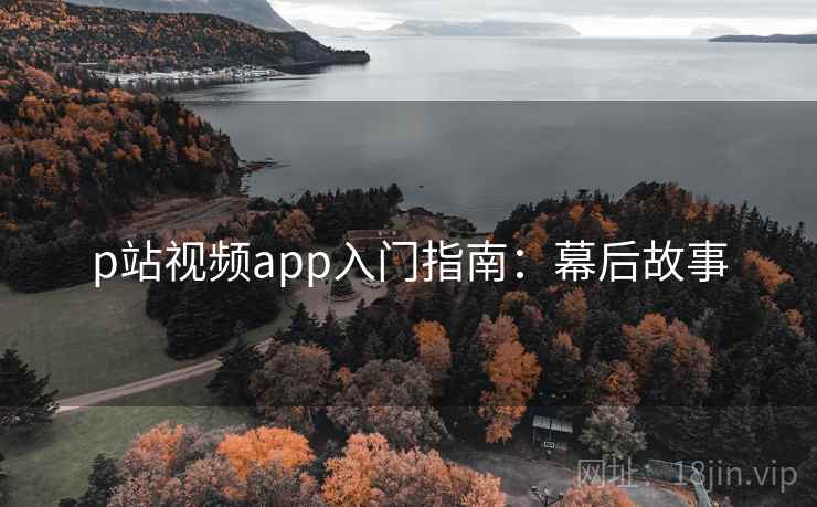 p站视频app入门指南：幕后故事